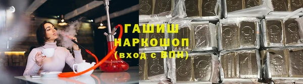 СК Алексин