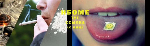 стаф Алзамай